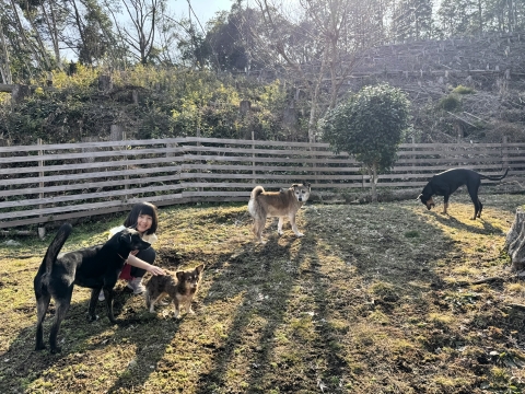 庭のドッグランでも遊ぶ 庭のドッグランでも遊ぶ